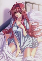 BUY NEW shinkyoku soukai polyphonica - 168296 Premium Anime Print Poster